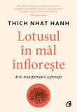 Cumpara ieftin Lotusul in mal infloreste | Thich Nhat Hanh, Curtea Veche Publishing