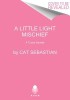 A Little Light Mischief: A Turner Novella