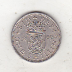 bnk mnd Marea Britanie Scotia 1 shilling 1960