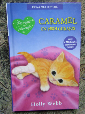 Caramel, un pisoi curajos - Holly Webb foto