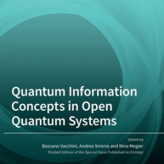 Quantum Information Concepts in Open Quantum Systems