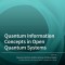 Quantum Information Concepts in Open Quantum Systems