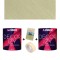 Pachet 2x Vopsea decorativa interior Kober Decor Izy Verde Mosc 0.9L + Pensula