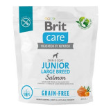 Cumpara ieftin Brit Care Dog Grain-Free Junior Large Breed, 1 kg