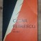 Cezar Petrescu- Ion Balu