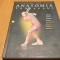 ANATOMIA TENISULUI - E. Paul Roetert, Mark S. Kovacs - 2018, 223 p.