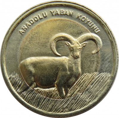 Turcia 1 Lira 2015 - (Anatolian Mouflon) 26.15 mm, KM-1362 UNC !!! foto