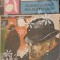 SUBSOLURILE MAJESTICULUI-GEORGES SIMENON-253577