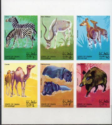 OMAN, Fauna, neuzat, MNH foto