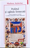 Cumpara ieftin Profetul și oglinda fermecată - 2017 - Madeea Axinciuc (@R112)