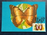 Romania 1991 - fluturi, CM 2