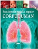 Cumpara ieftin Enciclopedia vizuala a copiilor. Corpul uman | Claire Hibbert, Prut