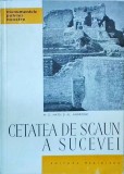 Cetatea de Scaun a Sucevei - M. D. Matei, Al. Andronic - Meridiane, Monumentele Patriei Noastre, 1965, Istorie, Arhitectură