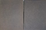 Discursurile lui Ion I. C. Bratianu Publicate de George Fotino, Editura Cartea Romaneasca, 1933 (2 volume)