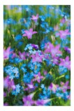 Tablou Canvas cu vibrația culorilor de primăvară, 26 x 39 cm, CMCLASS