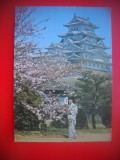 HOPCT 5234 CASTELUL HIMEJI-CIRESI IN FLOARE -JAPONIA -ASIA-CIRCULATA