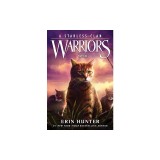 Warriors: A Starless Clan #5: Wind