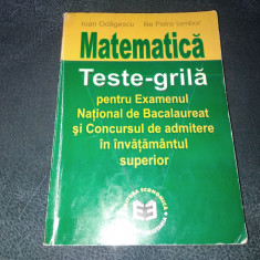 IOAN ODAGESCU - MATEMATICA TESTE GRILA