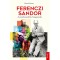 Ferenczi S&aacute;ndor - A pszichoanal&iacute;zis fenegyereke - Benoit Peeters