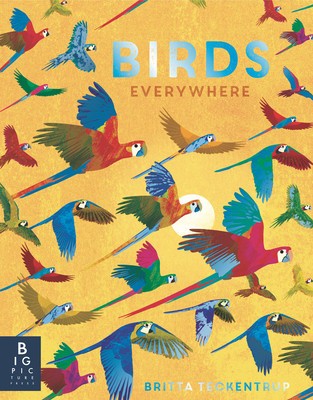 Birds Everywhere foto