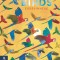 Birds Everywhere