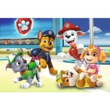 PUZZLE TREFL 60 PATRULA CATELUSILOR IN LUMEA CATEILOR