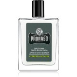 Proraso Cypress &amp; Vetyver balsam hidratant dupa barbierit 100 ml