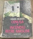 AMS2 Cenusa - Incendiu intre maslini - Grazia Deledda