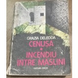 AMS2 Cenusa - Incendiu intre maslini - Grazia Deledda