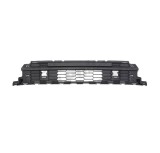 Grila bara de protectie Skoda Kodiaq, 10.2016-, Fata, Central, Aftermarket