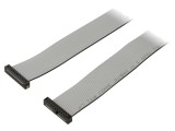 Cablu panglică SAMTEC IDC 10 pini 609,6mm TCSD-10-D-24.00-01-N