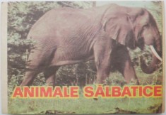 Animale salbatice foto