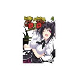 High School DXD, Vol. 4 (Light Novel)