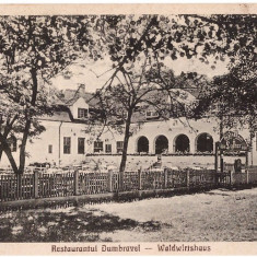 Sibiu aprox. 1920 - Restaurantul Dumbravei