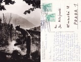 Ilustrata Germania-Hermann Hesse in gradina