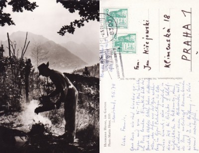Ilustrata Germania-Hermann Hesse in gradina foto