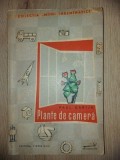 Plante de camera- Paul Dabija