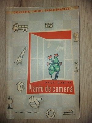 Plante de camera- Paul Dabija foto