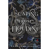 Escaping From Houdini - Houdini csapd&aacute;j&aacute;ban - Hasfelmetsző Jack nyom&aacute;ban 3. - Kerri Maniscalco