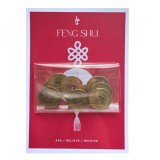 Set 10 monede chinezesti medii feng shui pentru noroc