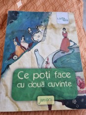 Ce pot face cu doua cuvinte- Liviu Papadima foto