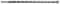 Foto  - 1