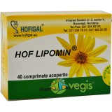 Hof Lipomin 40tb