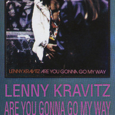Casetă audio Lenny Kravitz – Are You Gonna Go My Way