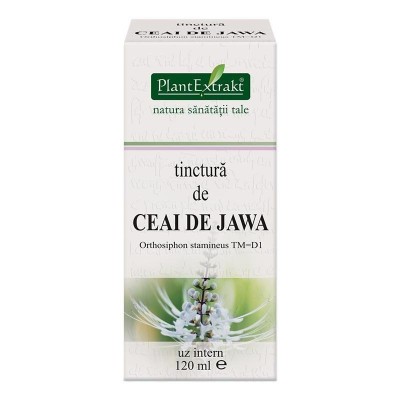 Tinctura Ceai de Jawa 120ml PlantExtrakt foto