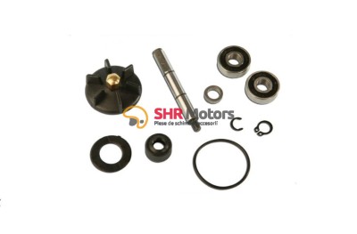 Kit reparatie pompa apa Piaggio / Gilera foto