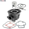Set motor Aprilia SR Factory (03-09) - Gilera DNA - Runner - Piaggio NRG MC3 - Zip SP D.40mm LC 2T 50cc (5 colturi)