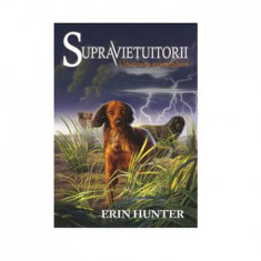 Supravietuitorii Vol.4. Un Drum Primejdios - Hunter Erin