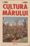 CULTURA MARULUI-L. CHIRA, I. PASCA-147959