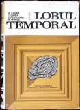 LOBUL TEMPORAL-O. SAGER, I. CINCA, V.FL.-CIOCOIU, A. MARES-342184